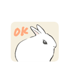 うさぎのいる日常。（個別スタンプ：5）