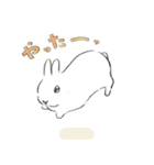 うさぎのいる日常。（個別スタンプ：11）