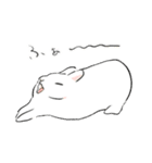 うさぎのいる日常。（個別スタンプ：13）