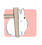 うさぎのいる日常。（個別スタンプ：19）