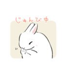 うさぎのいる日常。（個別スタンプ：25）