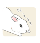 うさぎのいる日常。（個別スタンプ：26）