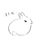 うさぎのいる日常。（個別スタンプ：28）