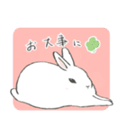 うさぎのいる日常。（個別スタンプ：40）