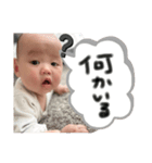 太鳳くんスタンプ③（個別スタンプ：13）