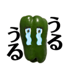 大好き野菜シリーズ ピーマン編（個別スタンプ：4）