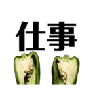 大好き野菜シリーズ ピーマン編（個別スタンプ：11）
