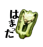 大好き野菜シリーズ ピーマン編（個別スタンプ：13）