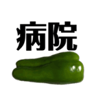 大好き野菜シリーズ ピーマン編（個別スタンプ：20）