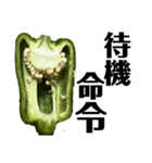 大好き野菜シリーズ ピーマン編（個別スタンプ：21）