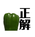 大好き野菜シリーズ ピーマン編（個別スタンプ：27）