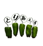 大好き野菜シリーズ ピーマン編（個別スタンプ：28）