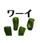 大好き野菜シリーズ ピーマン編（個別スタンプ：31）