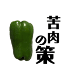 大好き野菜シリーズ ピーマン編（個別スタンプ：32）
