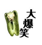 大好き野菜シリーズ ピーマン編（個別スタンプ：33）