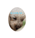 くう＆ラテVer.（個別スタンプ：1）