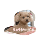 くう＆ラテVer.（個別スタンプ：2）