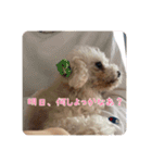 くう＆ラテVer.（個別スタンプ：3）
