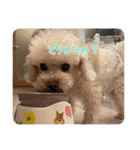 くう＆ラテVer.（個別スタンプ：5）