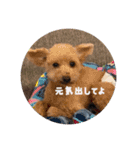 くう＆ラテVer.（個別スタンプ：7）