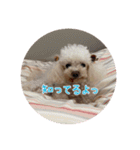 くう＆ラテVer.（個別スタンプ：11）