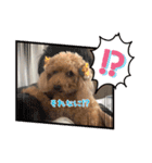 くう＆ラテVer.（個別スタンプ：15）