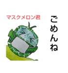 マスクメロン君  日常会話 スタンプ（個別スタンプ：32）