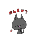 らびねこ（個別スタンプ：10）