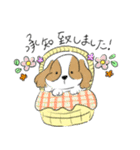 キャバリアちゃん～敬語編～（個別スタンプ：2）