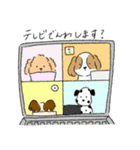 キャバリアちゃん～敬語編～（個別スタンプ：13）