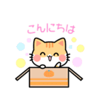 ネコ・うさぎ・くまスタンプ（個別スタンプ：13）