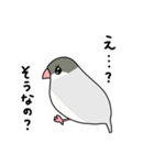 文鳥のぶんちゃんズ（個別スタンプ：8）