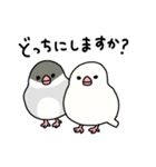 文鳥のぶんちゃんズ（個別スタンプ：9）