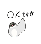文鳥のぶんちゃんズ（個別スタンプ：12）