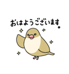 文鳥のぶんちゃんズ（個別スタンプ：13）