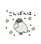 文鳥のぶんちゃんズ（個別スタンプ：15）