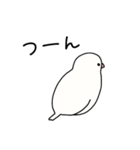 文鳥のぶんちゃんズ（個別スタンプ：20）