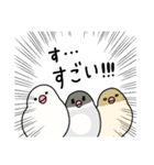 文鳥のぶんちゃんズ（個別スタンプ：22）