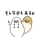 文鳥のぶんちゃんズ（個別スタンプ：23）