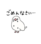 文鳥のぶんちゃんズ（個別スタンプ：30）