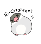 文鳥のぶんちゃんズ（個別スタンプ：32）
