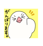 文鳥のぶんちゃんズ（個別スタンプ：37）