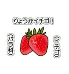 野菜ですが何科？④（個別スタンプ：3）
