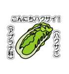 野菜ですが何科？④（個別スタンプ：5）