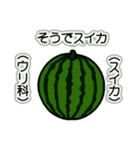 野菜ですが何科？④（個別スタンプ：10）