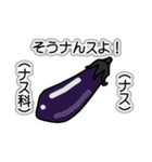 野菜ですが何科？④（個別スタンプ：11）