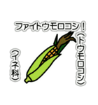 野菜ですが何科？④（個別スタンプ：13）