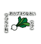 野菜ですが何科？④（個別スタンプ：15）
