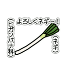 野菜ですが何科？④（個別スタンプ：17）
