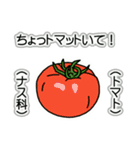 野菜ですが何科？④（個別スタンプ：19）